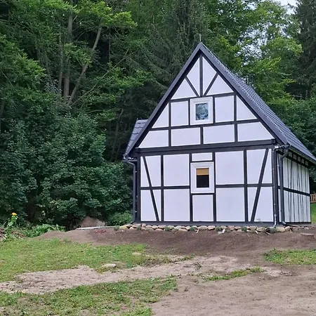 Chalet Mlynowka *